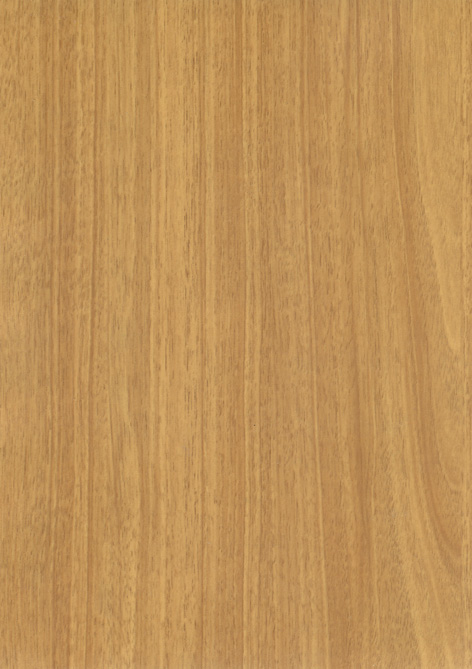 F439_3041-Noce-Sorrento-natur.jpg F439_3041-Noce-Sorrento-natur.jpg