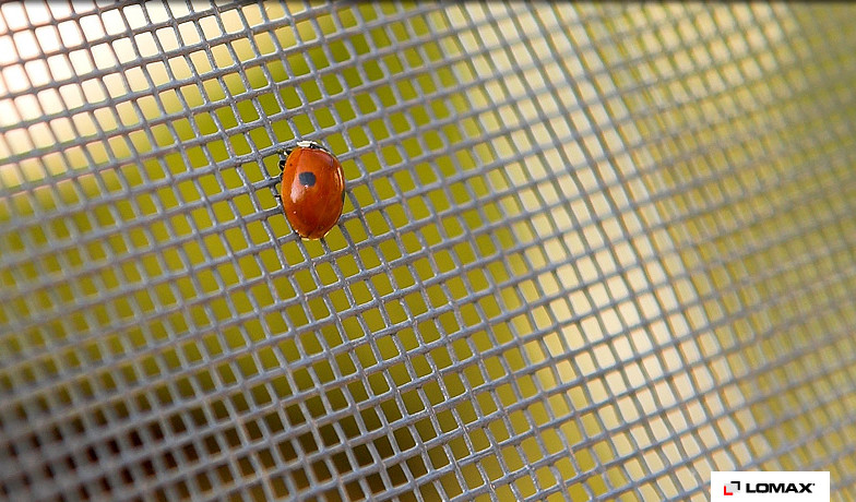 site-proti-hmyzu-001.jpg site-proti-hmyzu-001.jpg